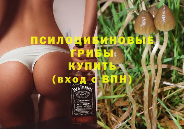 скорость Богородск