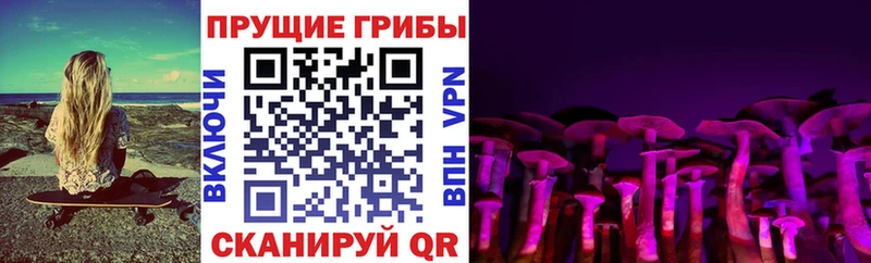 Псилоцибиновые грибы ЛСД  Петропавловск-Камчатский 